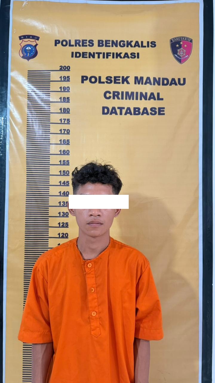 Tak Terima Diperlakukan Kasar, Istri Laporkan Suami ke Polisi di Mandau