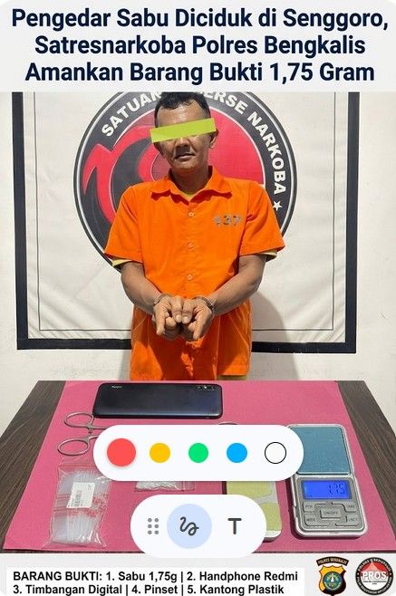Pengedar Sabu Diciduk di Senggoro, Satresnarkoba Polres Bengkalis Amankan Barang Bukti 1,75 Gram