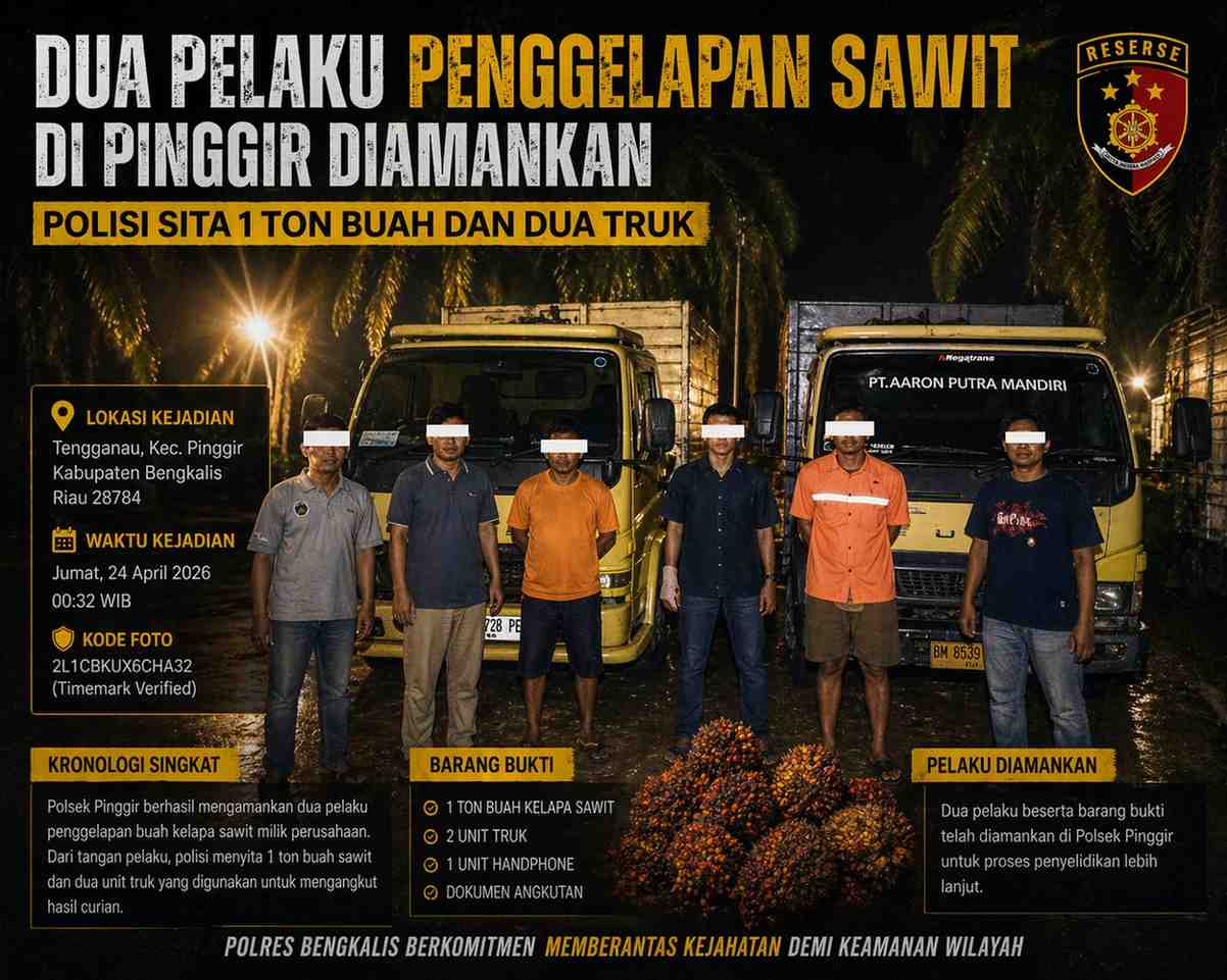 Dua Pelaku Penggelapan Sawit di Pinggir Diamankan, Polisi Sita 1 Ton Buah dan Dua Truk