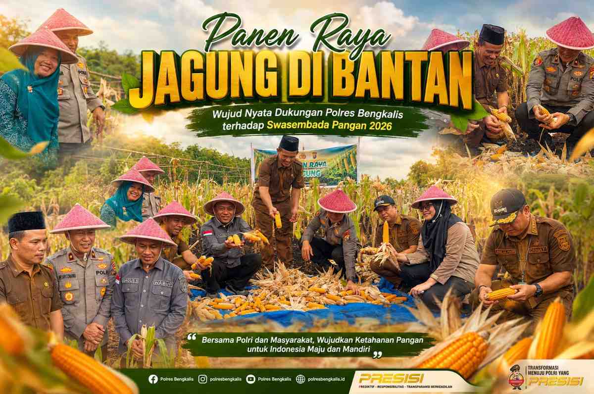 Panen Raya Jagung di Bantan, Wujud Nyata Dukungan Polres Bengkalis terhadap Swasembada Pangan 2026