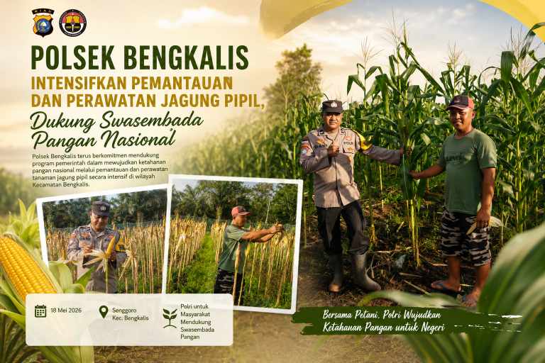 Polsek Bengkalis Intensifkan Pemantauan dan Perawatan Jagung Pipil, Dukung Swasembada Pangan Nasional