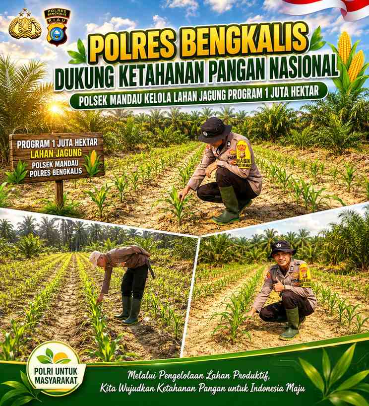 Polres Bengkalis Dukung Ketahanan Pangan Nasional, Polsek Mandau Kelola Lahan Jagung Program 1 Juta Hektar