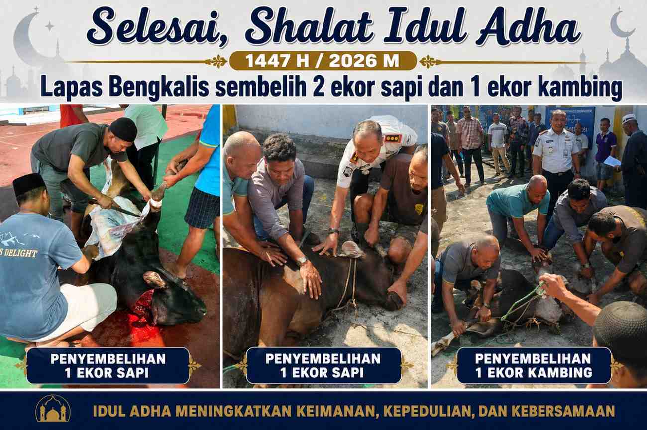 Selesai Shalat Idul Adha 1447 H / 2026 M Lapas Bengkalis sembelih 2 ekor sapi dan 1 ekor kambing