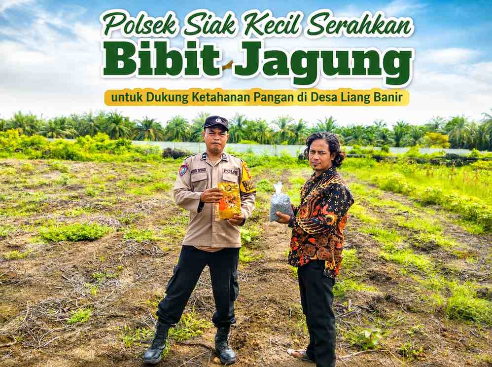 Polsek Siak Kecil Serahkan Bibit Jagung untuk Dukung Ketahanan Pangan di Desa Liang Banir