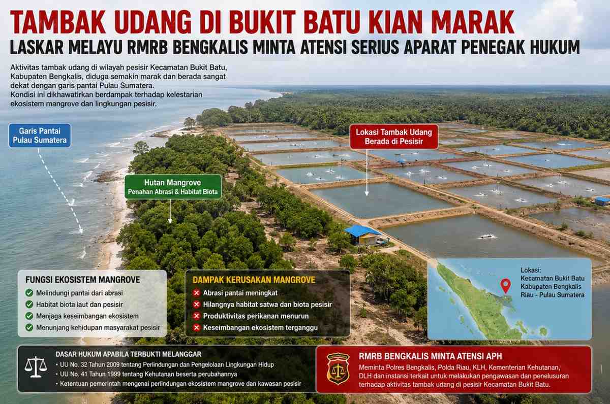 Tambak Udang di Bukit Batu Kian Marak, Laskar Melayu RMRB Bengkalis Minta Atensi Serius Aparat Penegak Hukum