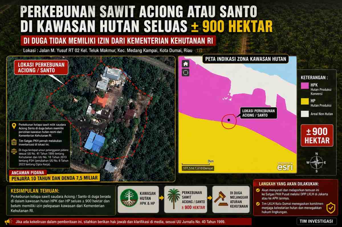 Perkebunan Sawit Aciong Atau Santo di Kawasan Hutan Seluas 900 Hektar di Duga Tidak Memiliki Izin Dari Kementerian Kehutanan RI.
