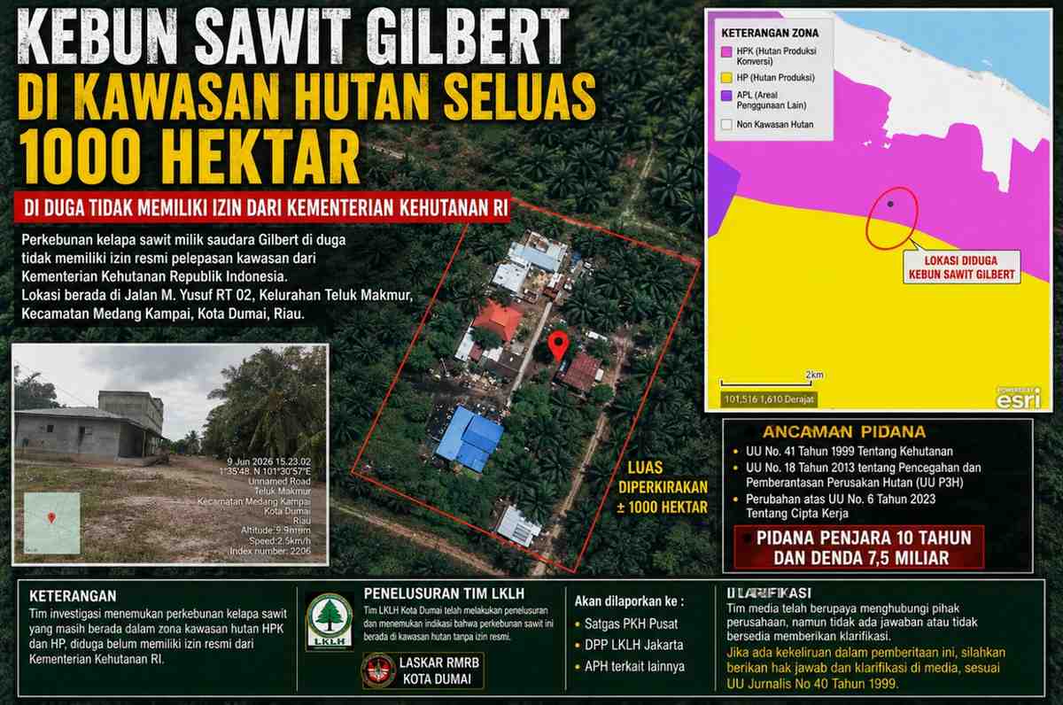 Kebun Sawit Gilbert di Kawasan Hutan Seluas 1000 Hektar di Duga Tidak Memiliki Izin Dari Kementerian Kehutanan RI.