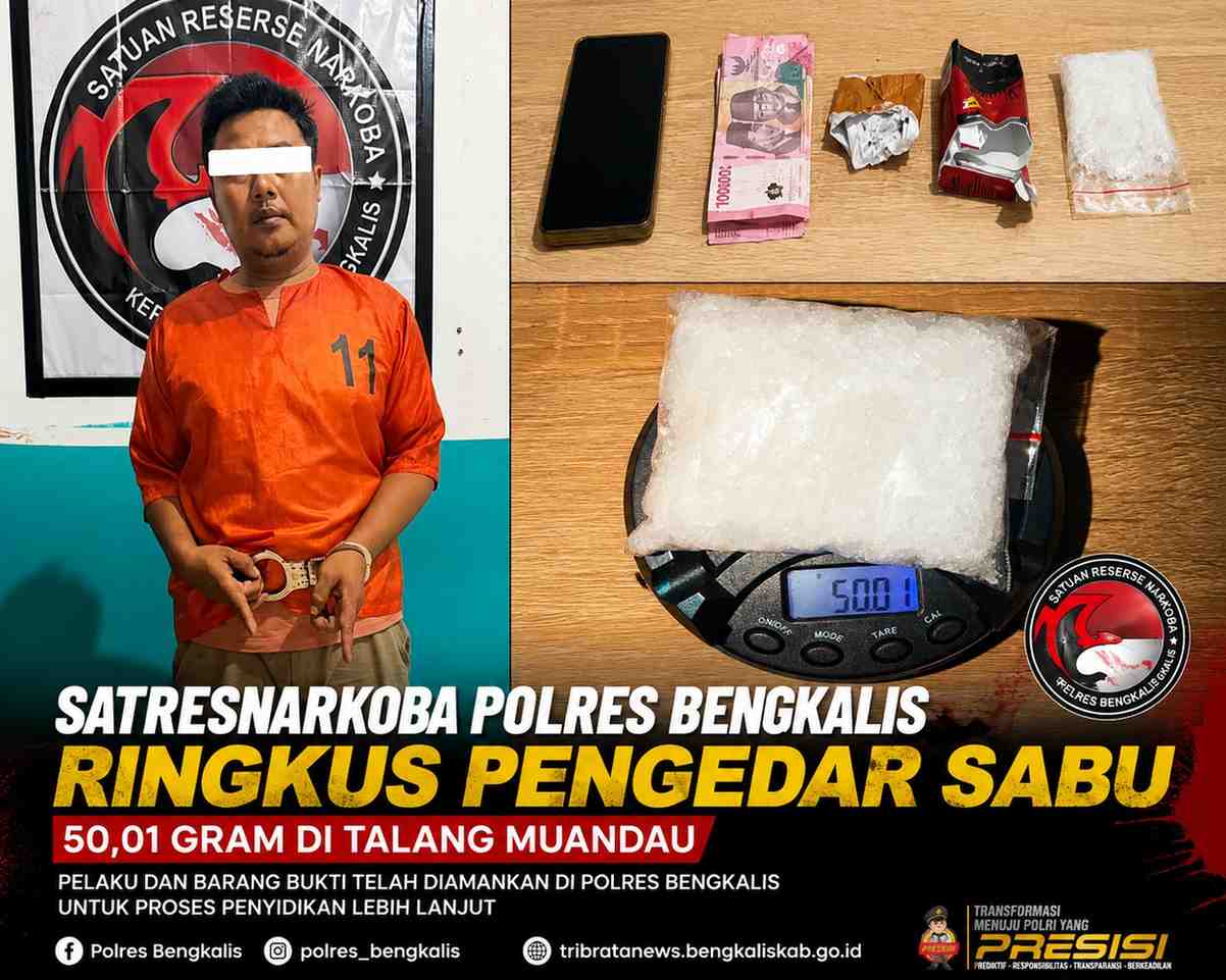 Satresnarkoba Polres Bengkalis Ringkus Pengedar Sabu 50,01 Gram di Talang Muandau