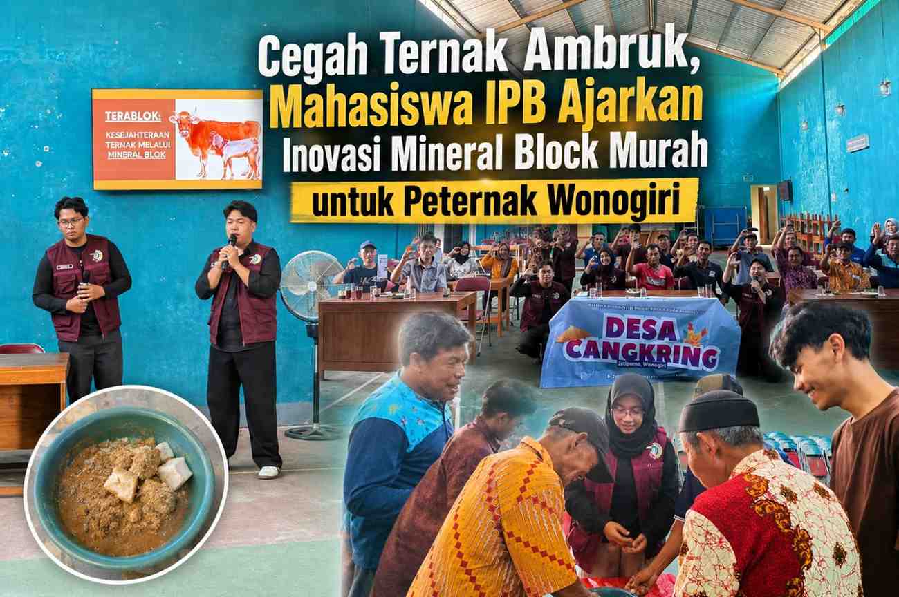 Cegah Ternak Ambruk, Mahasiswa IPB Ajarkan Inovasi Mineral Block Murah untuk Peternak Wonogiri