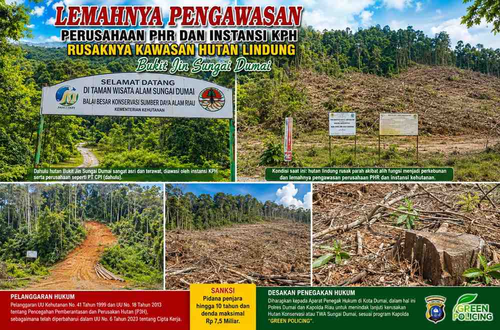 Lemahnya Pengawasan Perusahaan PHR dan Instansi KPH Rusaknya Kawasan Hutan Lindung Bukit Jin Sungai Dumai