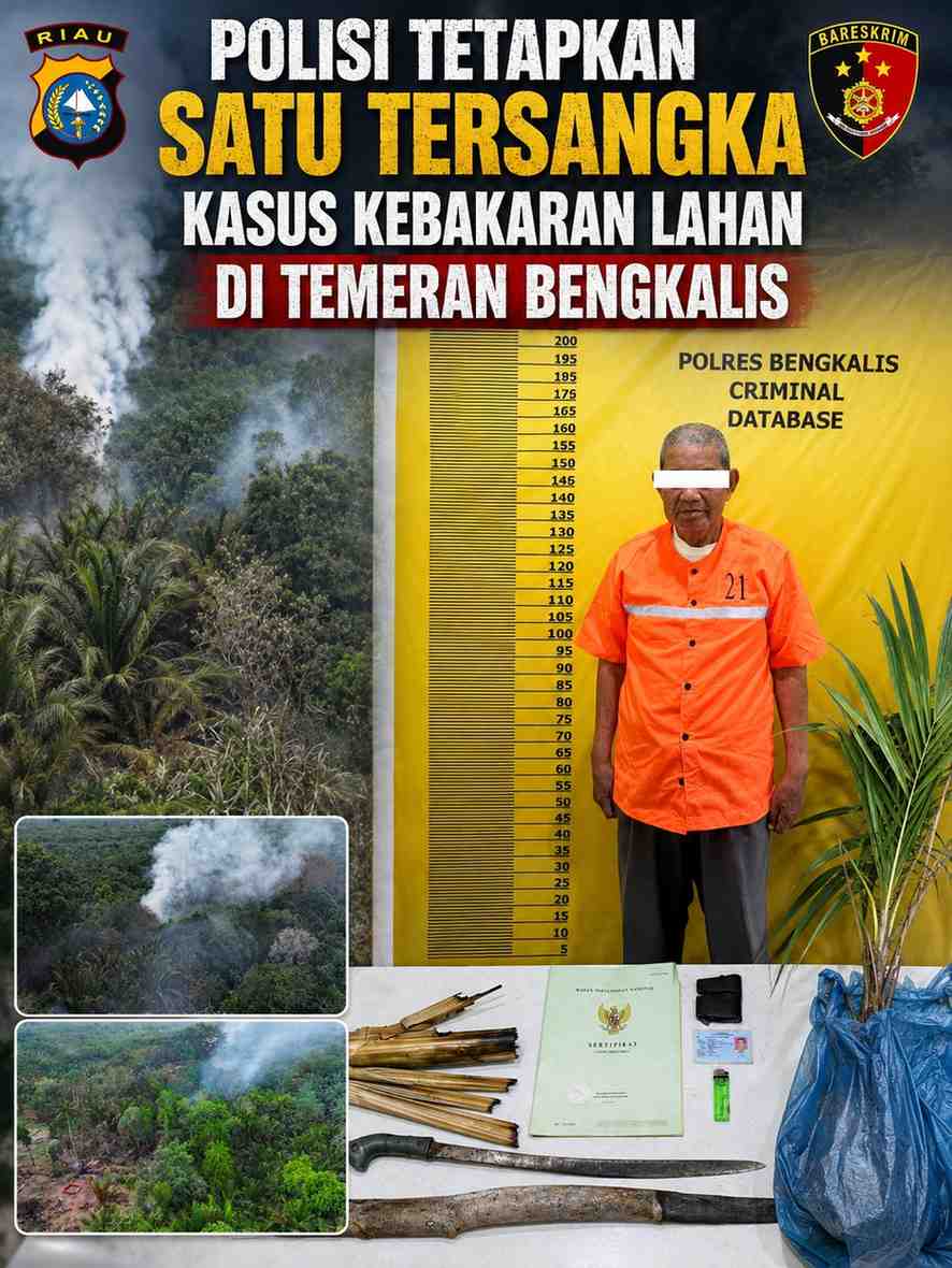 Polisi Tetapkan Satu Tersangka Kasus Kebakaran Lahan di Temeran Bengkalis
