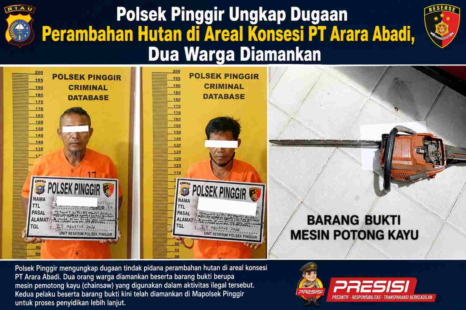 Polsek Pinggir Ungkap Dugaan Perambahan Hutan di Areal Konsesi PT Arara Abadi, Dua Warga Diamankan