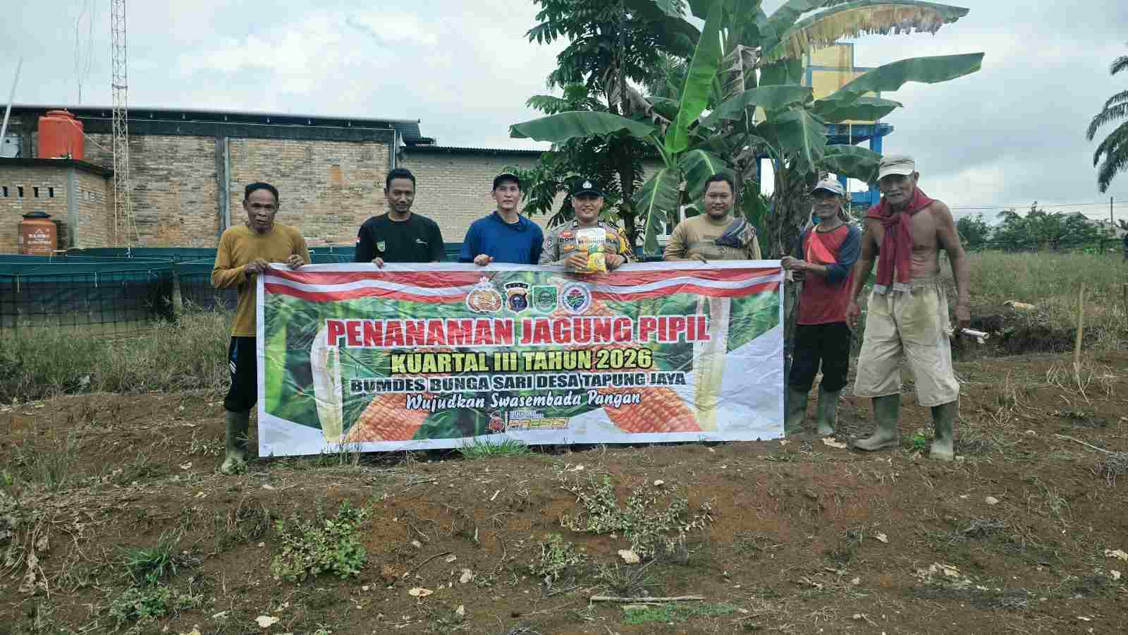 Optimalkan Lahan Pertanian, Polsek Tandun Dorong Swasembada Pangan di Tapung Jaya